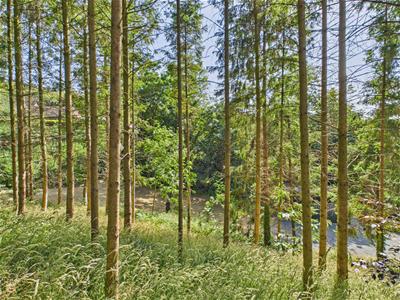 Picture 23